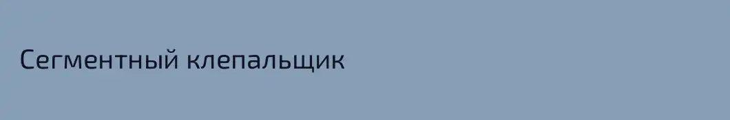  Сегментный клепальщик